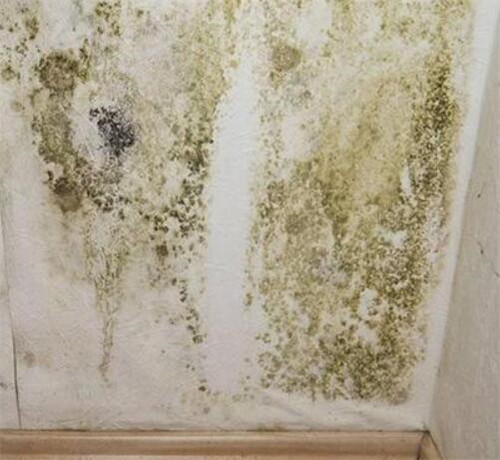 墙角发霉如何处理 那就试试这4个方法吧