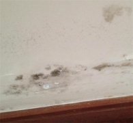 墙角发霉如何处理 那就试试这4个方法吧