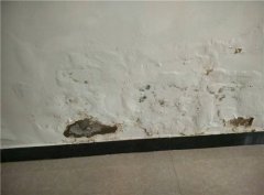 墙面起碱怎么彻底处理 室内墙面怎么养护