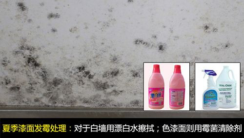 墙面发霉怎么处理妙招 预防墙面发霉小贴士