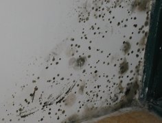 墙面返潮怎么处理  返潮处理方法有哪些