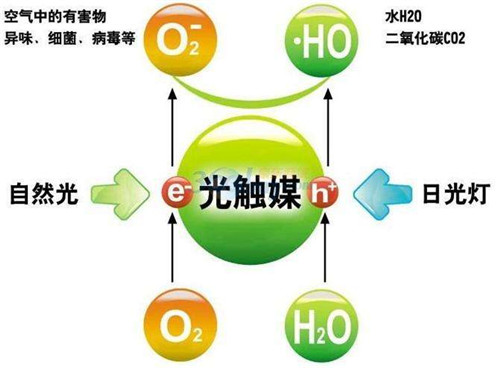甲醛的处理方法有哪些 六招教你轻松除甲醛